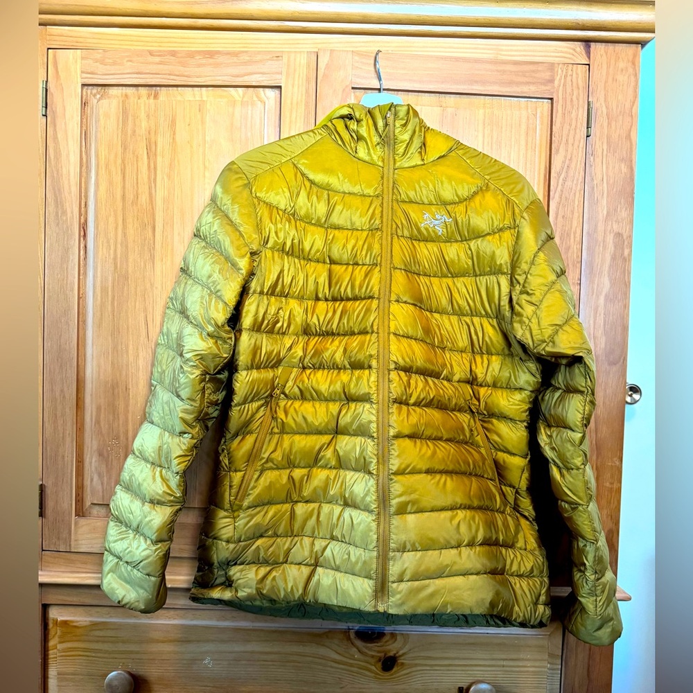 Arc’teryx Women’s Cerium LT hoody